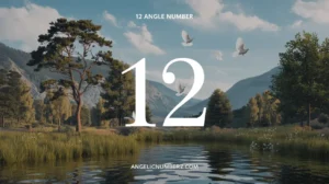 12 Angel Number