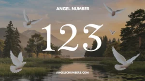 123 Angel Number