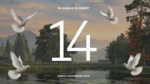 14 Angel Number