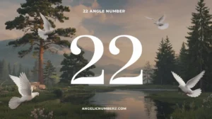 22 Angle Number