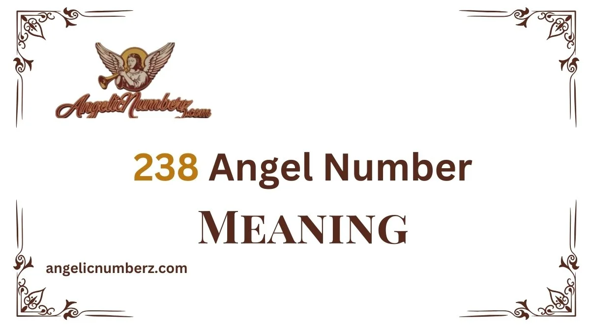 238 Angel Number