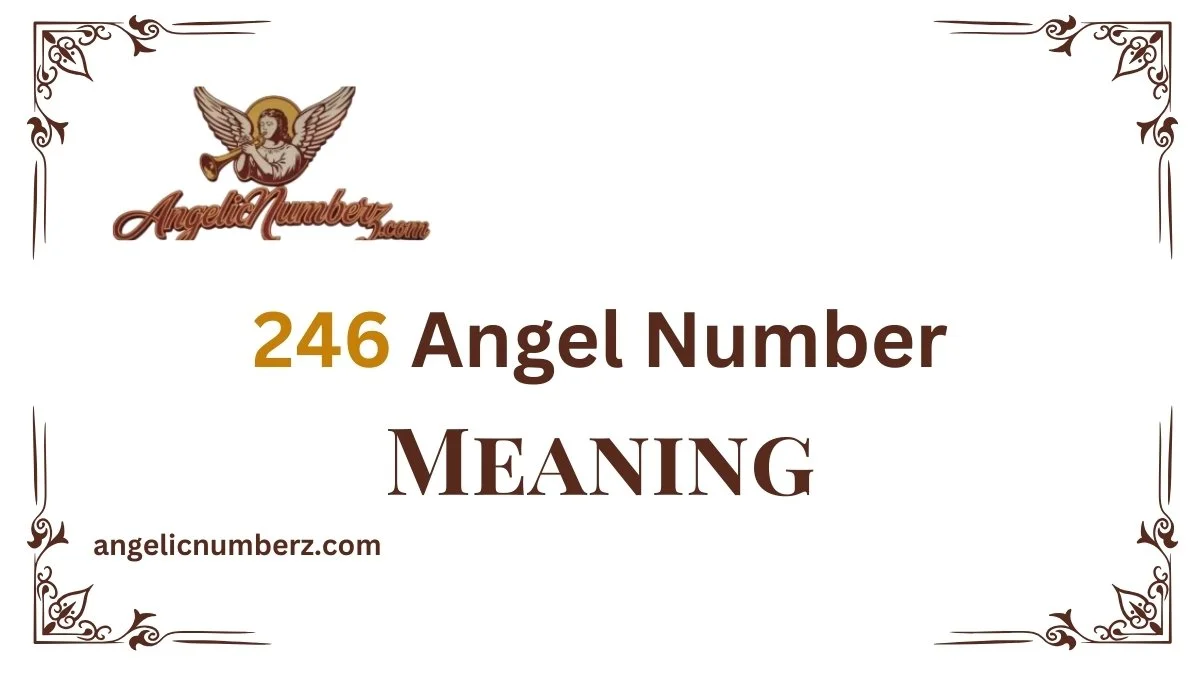 246 Angel Number