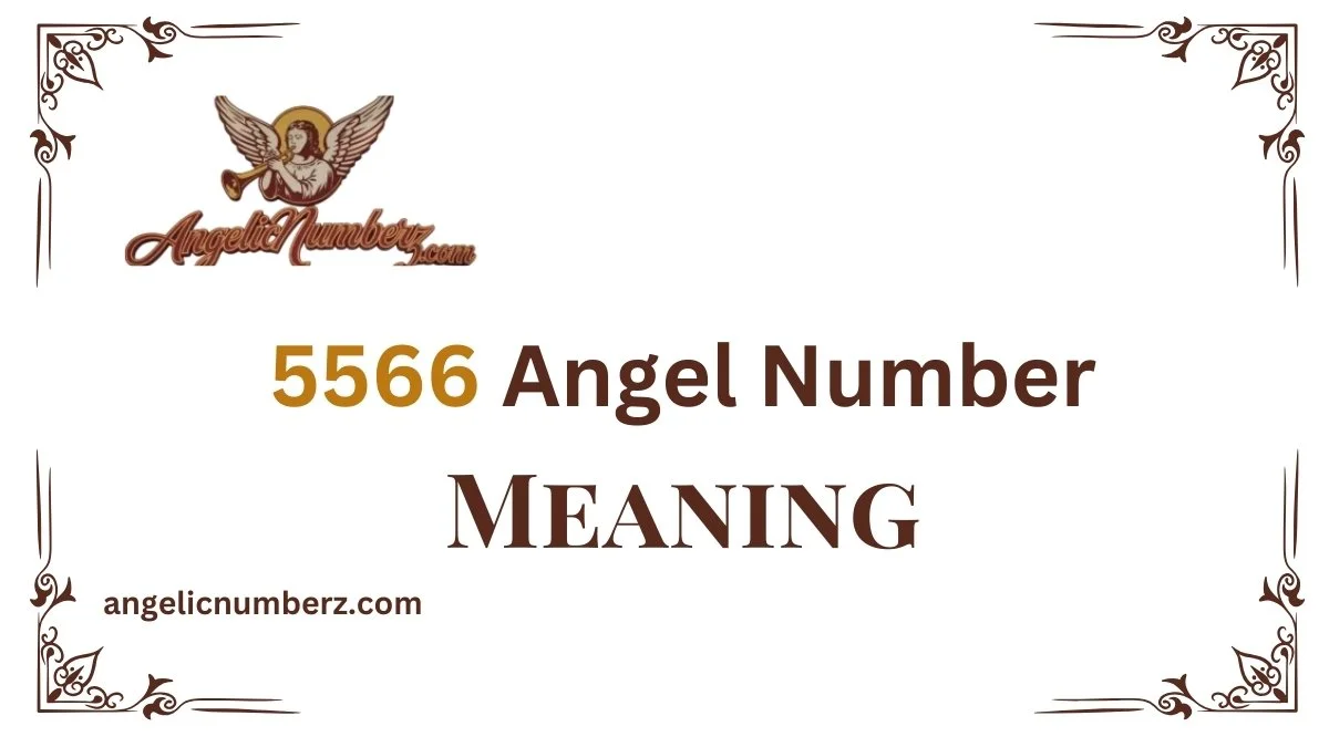 5566 Angel Number